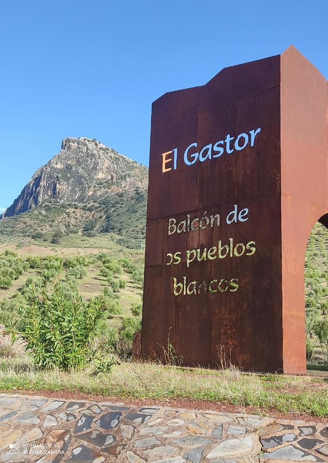 فيلا Casa El Almendro إل جاستور المظهر الخارجي الصورة